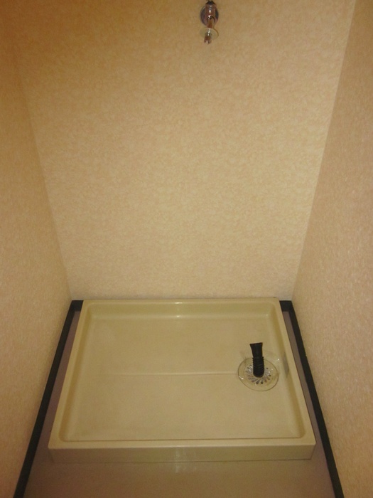 Washroom. Washing machine in the room