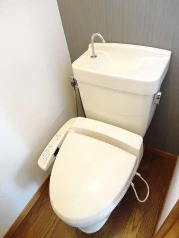 Toilet. First floor toilet