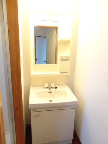 Washroom. Bathroom vanity