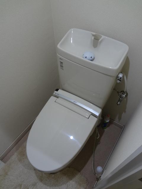 Toilet. Indoor (11 May 2013) Shooting