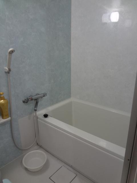 Bathroom. Indoor (11 May 2013) Shooting