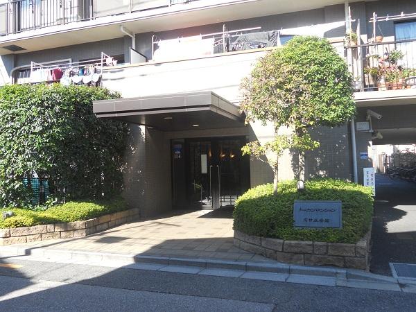 Entrance. Common areas