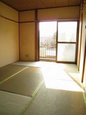 Living and room. Sunny Japanese-style