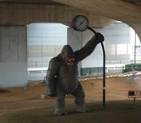 park. 400m until the gorilla park