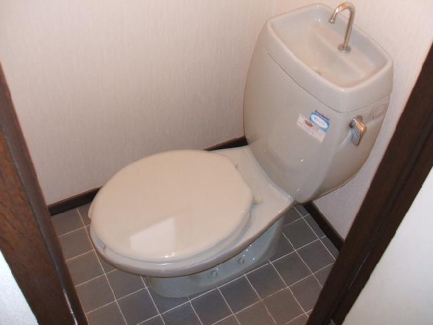Toilet. Separate reference is a picture