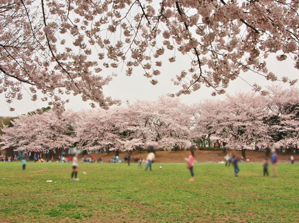 Surrounding environment. Bracken citizen park (about 1430m ・ 18 mins ・ Bicycle about 8 minutes)