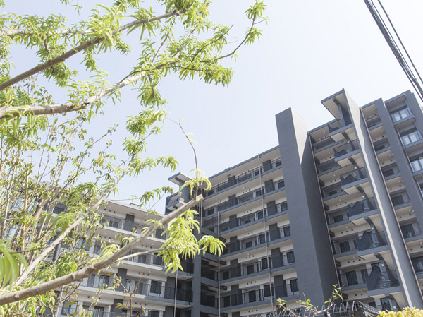 Buildings and facilities. Shine in blue sky and lush green, Imposing the completion of the building appearance. We have to create a stylish appearance, such as a landmark of the city by the contrast of black and white. (appearance)