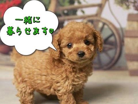 Other. ~ We could live together as a member of an important family ~