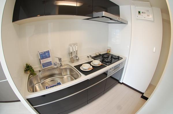 Kitchen. Water purifier built-in system kitchen
