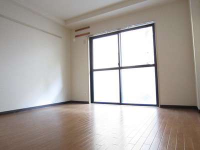 Living and room. South-facing bright Western-style