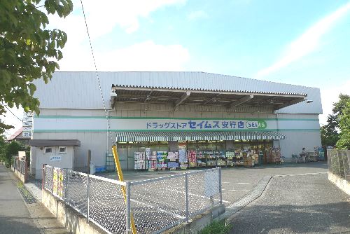 Dorakkusutoa. Drag Seimusu Angyo shop 972m until (drugstore)
