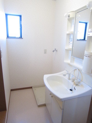 Washroom. Functional wash basin