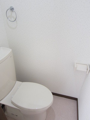 Toilet. I'm glad towel rail