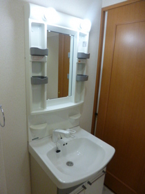 Washroom. Shampoo dresser -