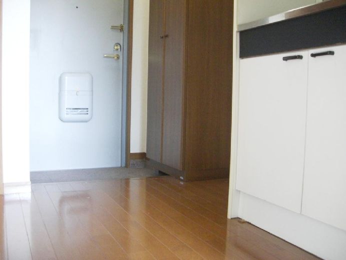 Other. Indoor clean flooring upholstery