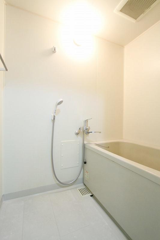 Bath. Bathroom with cleanliness