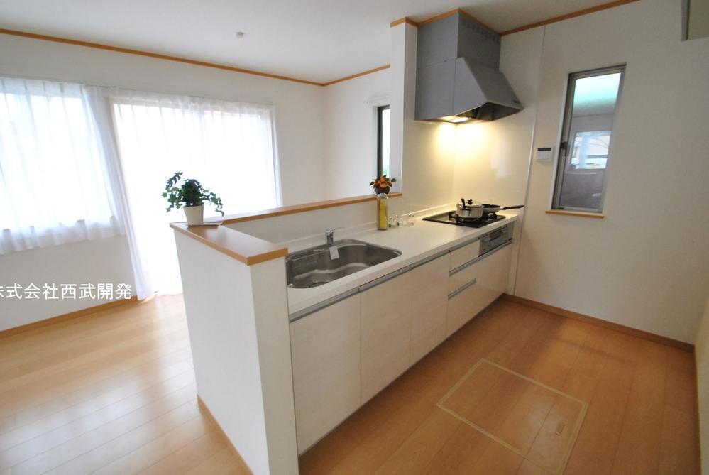 Kitchen. Indoor (12 May 2013) Shooting