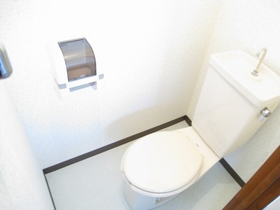 Toilet. Comfortable with Western-style toilet