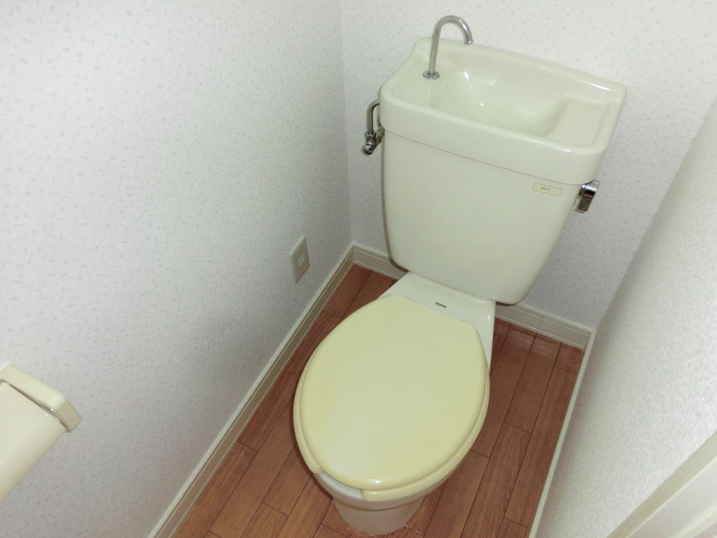 Toilet. Toilet with cleanliness.