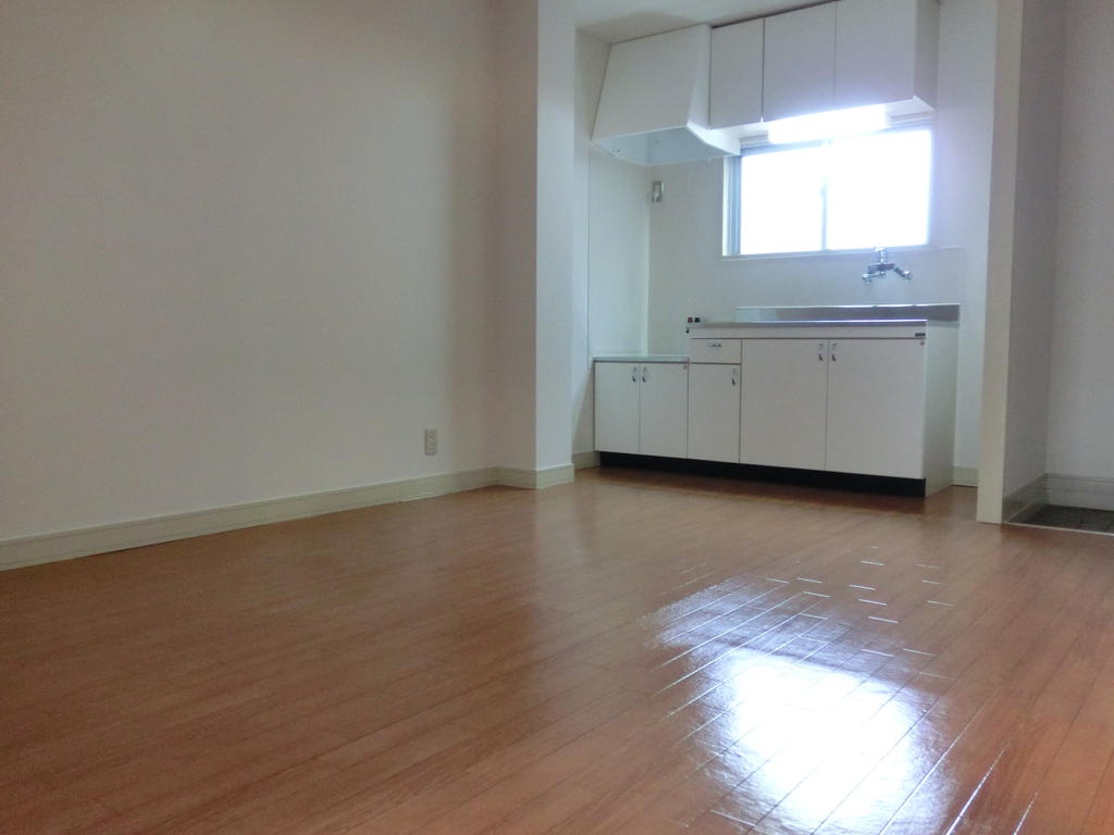 Other room space. Dining spaces, It is quite wide.