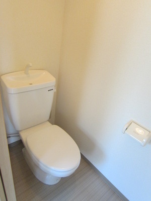 Toilet. It is a Western-style toilet