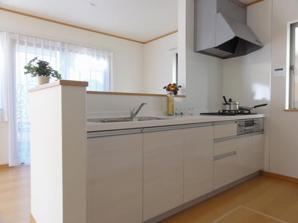 Kitchen. Face-to-face kitchen