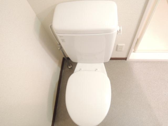 Toilet. Toilet