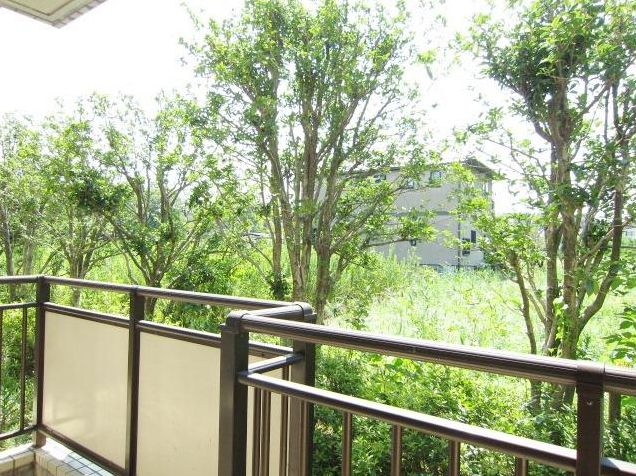 Balcony. Separate reference is a picture