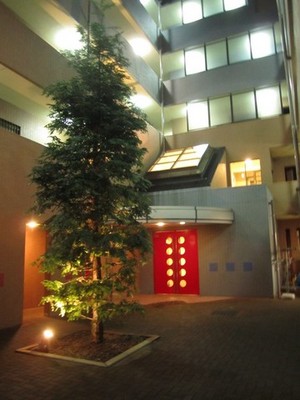 Entrance. Atmosphere preeminent night