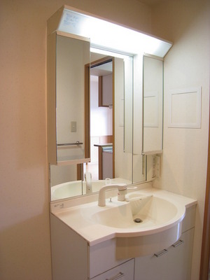 Washroom. Easy morning CARE shampoo dresser