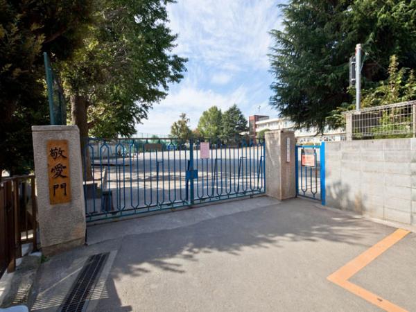 Primary school. Hatogaya until elementary school 290m