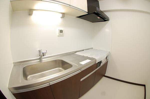 Kitchen. Water purifier built-in system kitchen