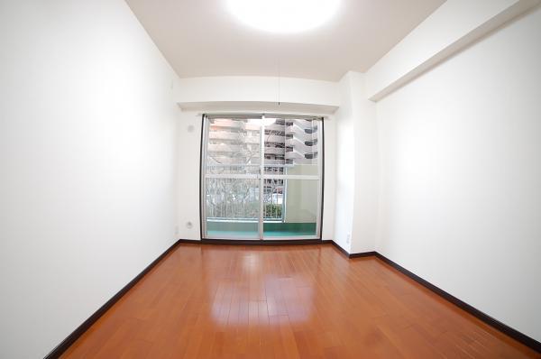 Non-living room. Western-style Continued from living