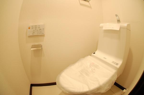 Toilet. Toilet with shower