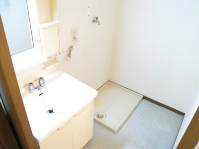 Washroom. Laundry Area basin in this sideways