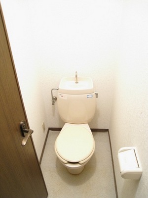 Toilet. Comfortable with Western-style toilet!
