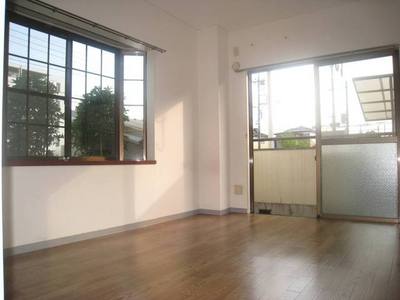 Living and room. Sunny two-plane daylight