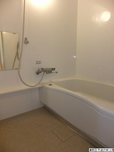 Bathroom. Indoor (12 May 2013) Shooting