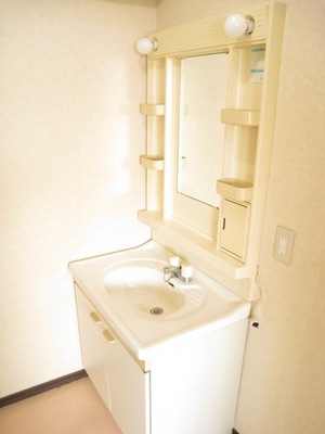 Washroom. Independent wash basin