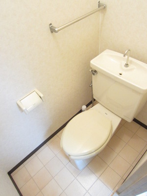 Toilet. Toilet with cleanliness