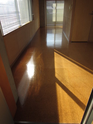 Living and room. Welcome back! This is an image I opened the front door!