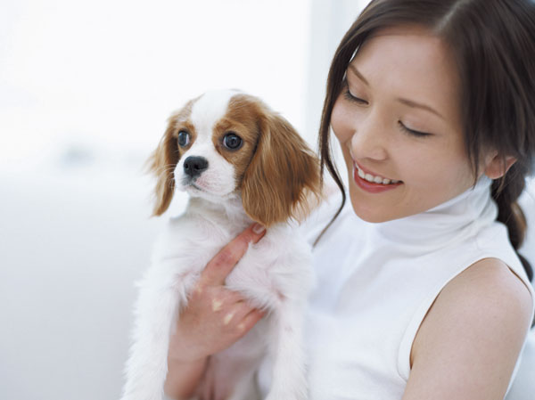 Common utility.  [Apartment to be able to live with pets] We could live together and is also a member of the important family pet.  ※ Pet of the type that frog in the apartment ・ There are restrictions on the size etc..  ※ For more information, please contact the person in charge.  ※ The photograph is an example of a pet frog.