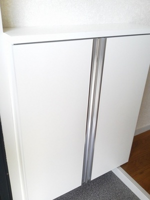 Entrance. Is a cupboard newly established