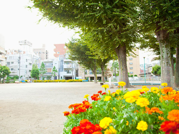Surrounding environment. Namiki Machihigashi children amusement (about 50m / 1-minute walk)