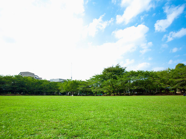 Surrounding environment. Bracken citizen park (about 1200m / A 15-minute walk)