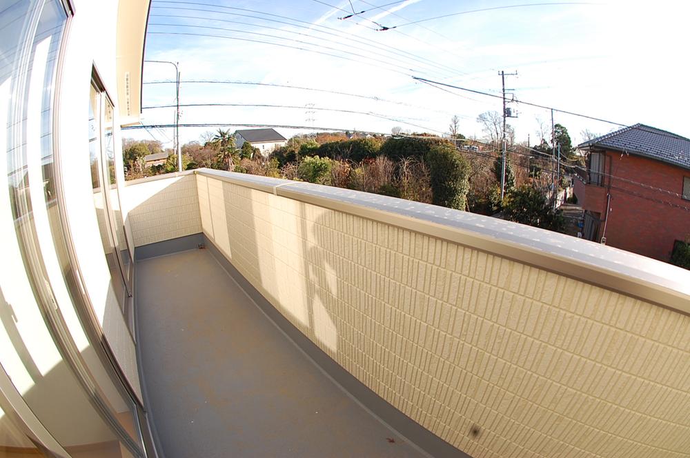 Balcony. South-facing balcony