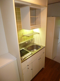 Kitchen. IH hob kitchen