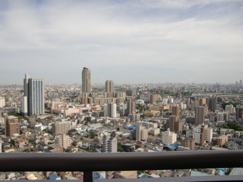 View. View from the living room