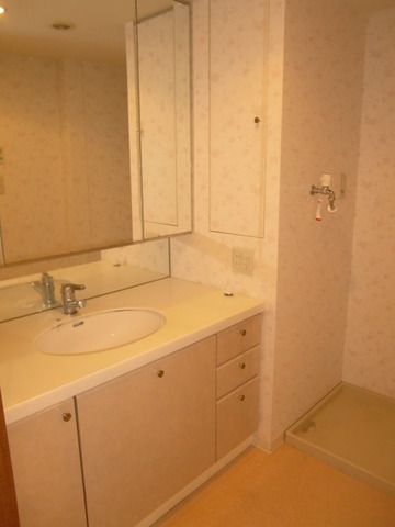 Washroom. Wash basin