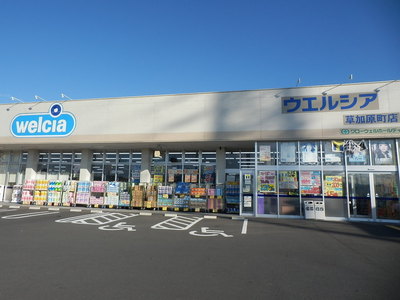 Dorakkusutoa. Uerushia 560m until (drugstore)